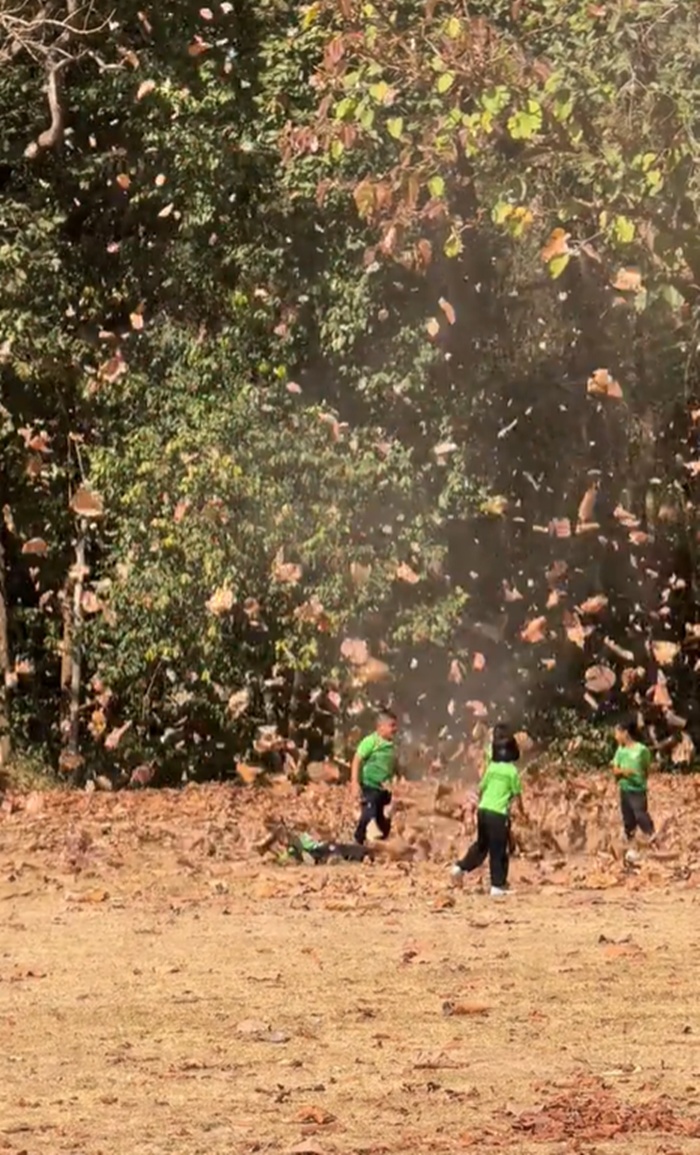 ลมหัวกุด