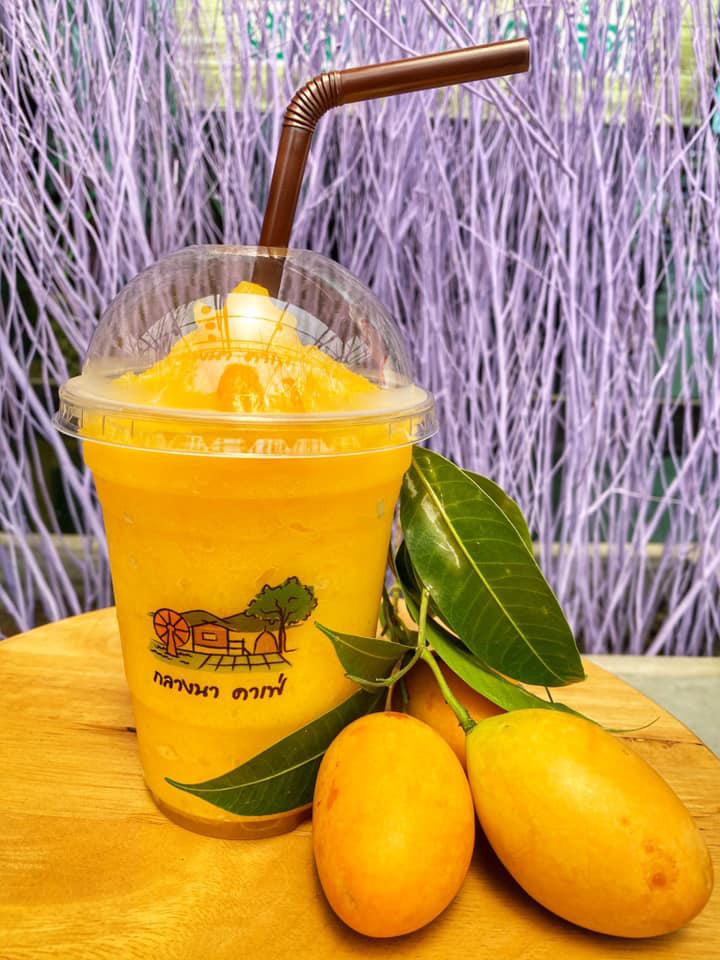 คาเฟ่นครนายก