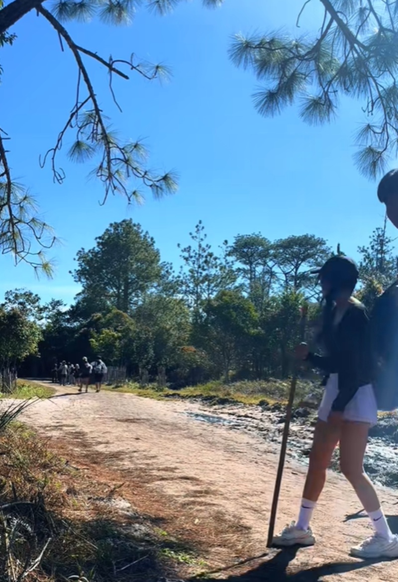 เดินป่า