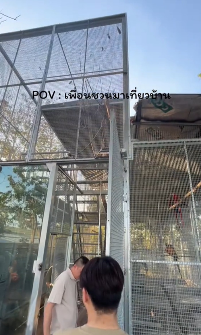 เที่ยวบ้านเพื่อน