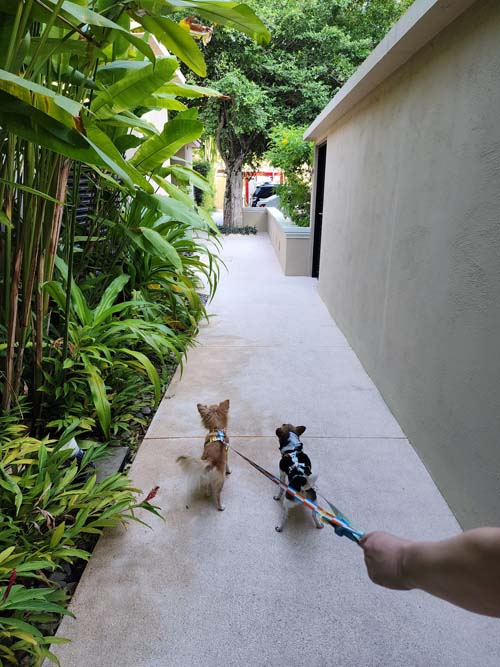 Anantasila Villa By The Sea