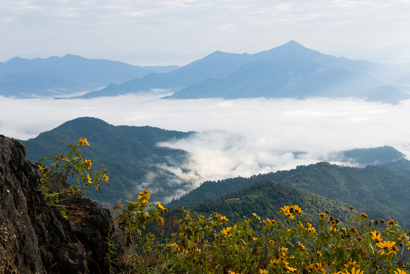 ดอยในเชียงราย