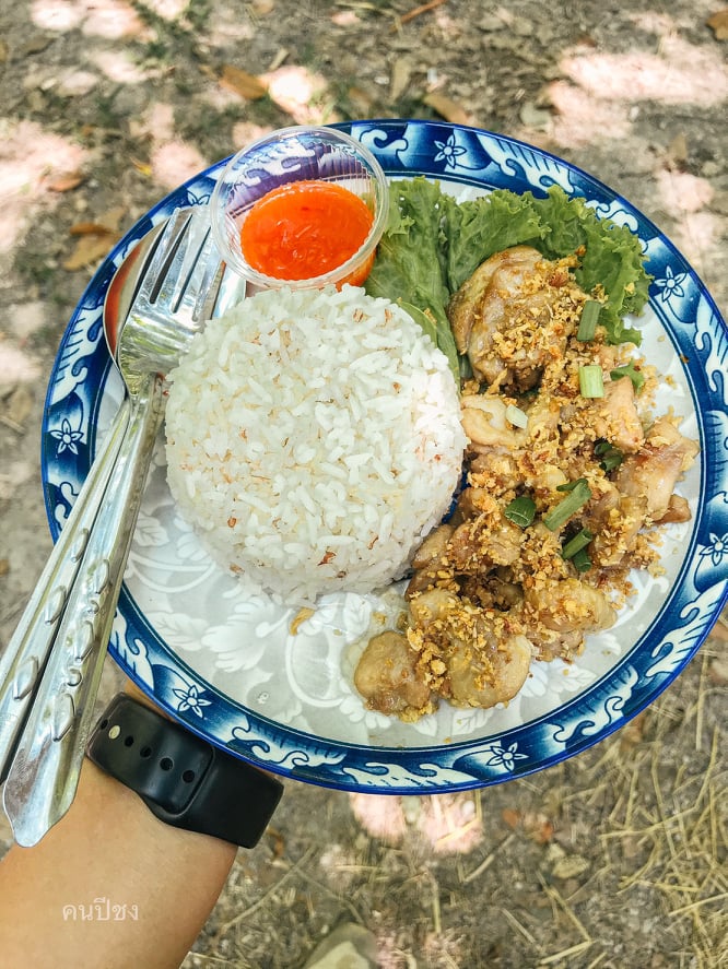 คาเฟ่ในสวนยาง