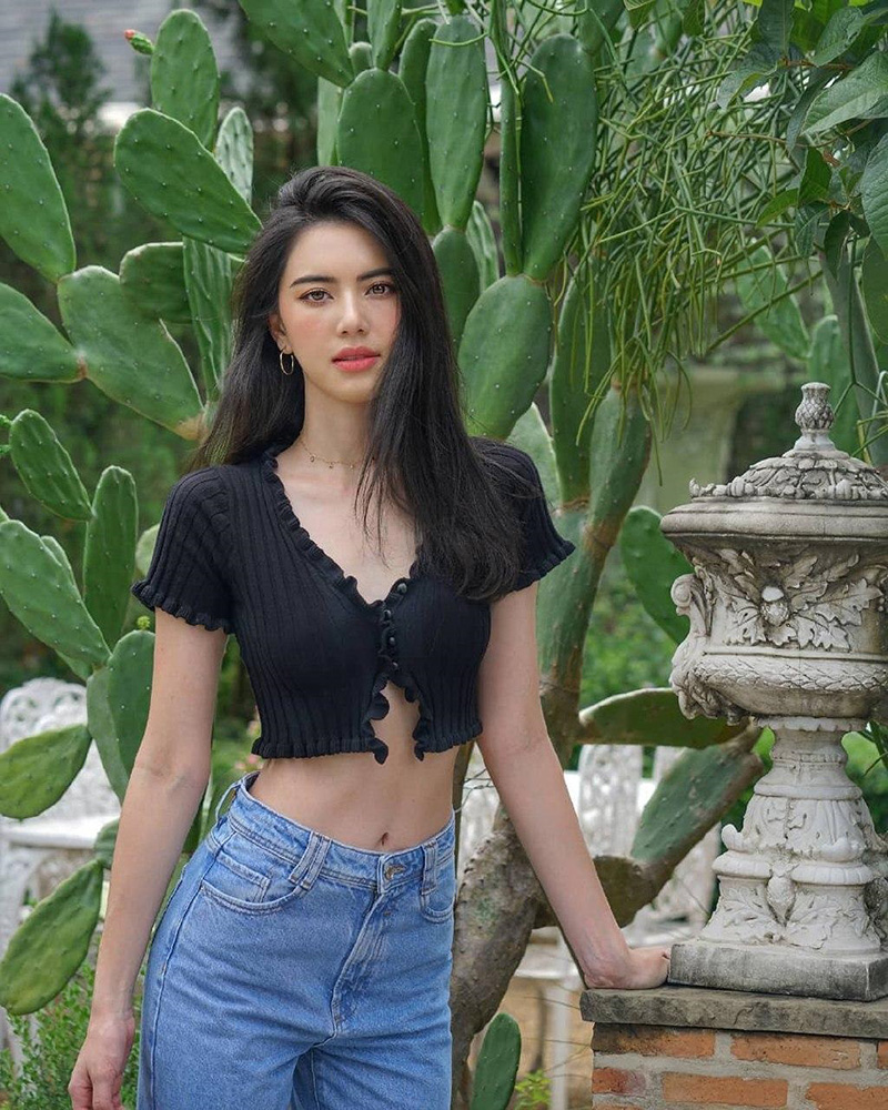 ใหม่ ดาวิกา 