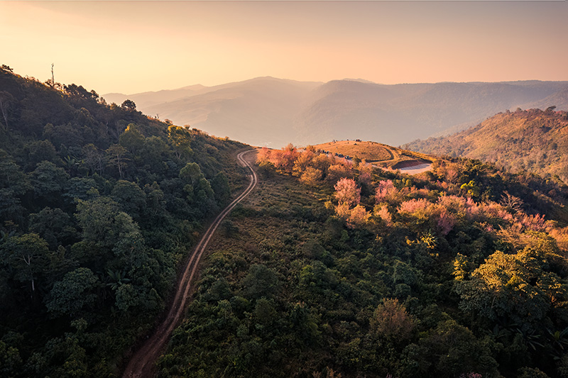 ภูหินร่องกล้า เส้นทางรถ