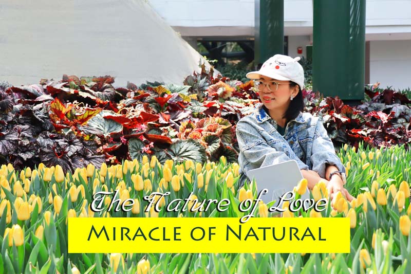 Miracle of Natural ระยอง