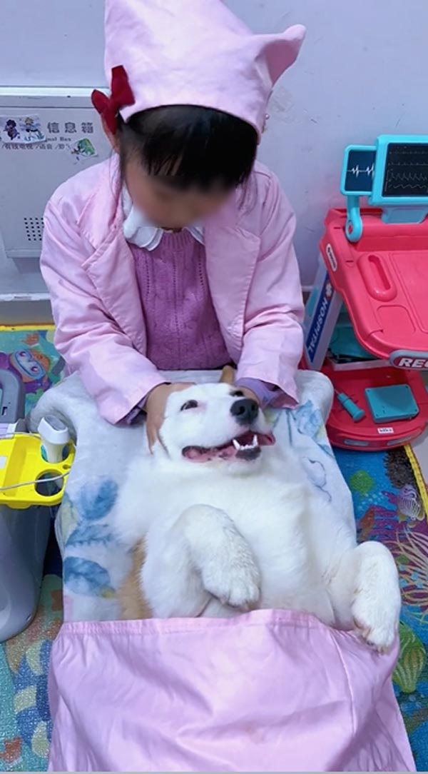 เด็กเล่นเป็นหมอกับน้องหมา