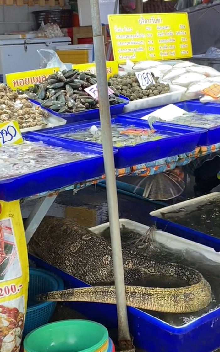 ตัวเงินตัวทอง