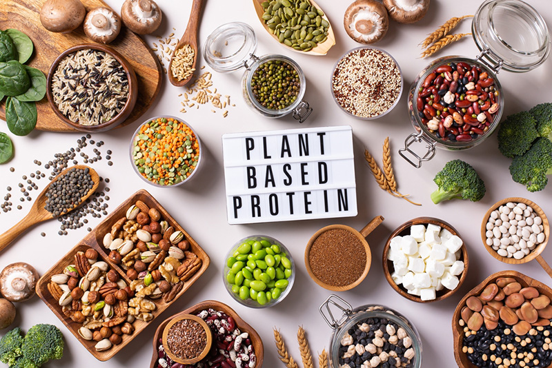 plant based protein