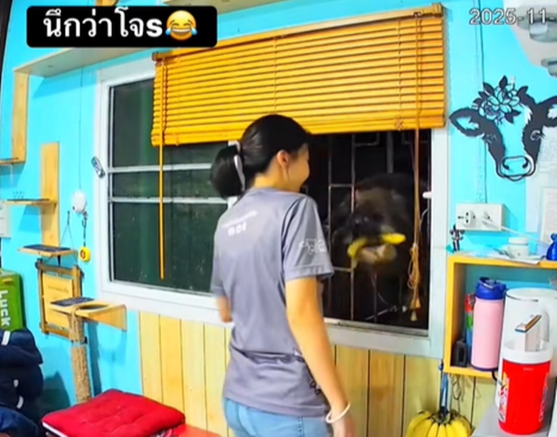 โจรทุบรถ