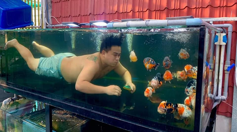 เลี้ยงปลา