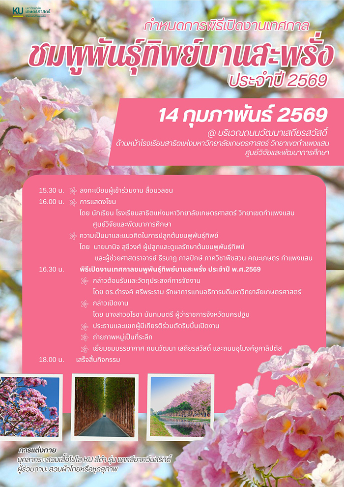 ชมพูพันธุ์ทิพย์ ม.เกษตรฯ กำแพงแสน 2569