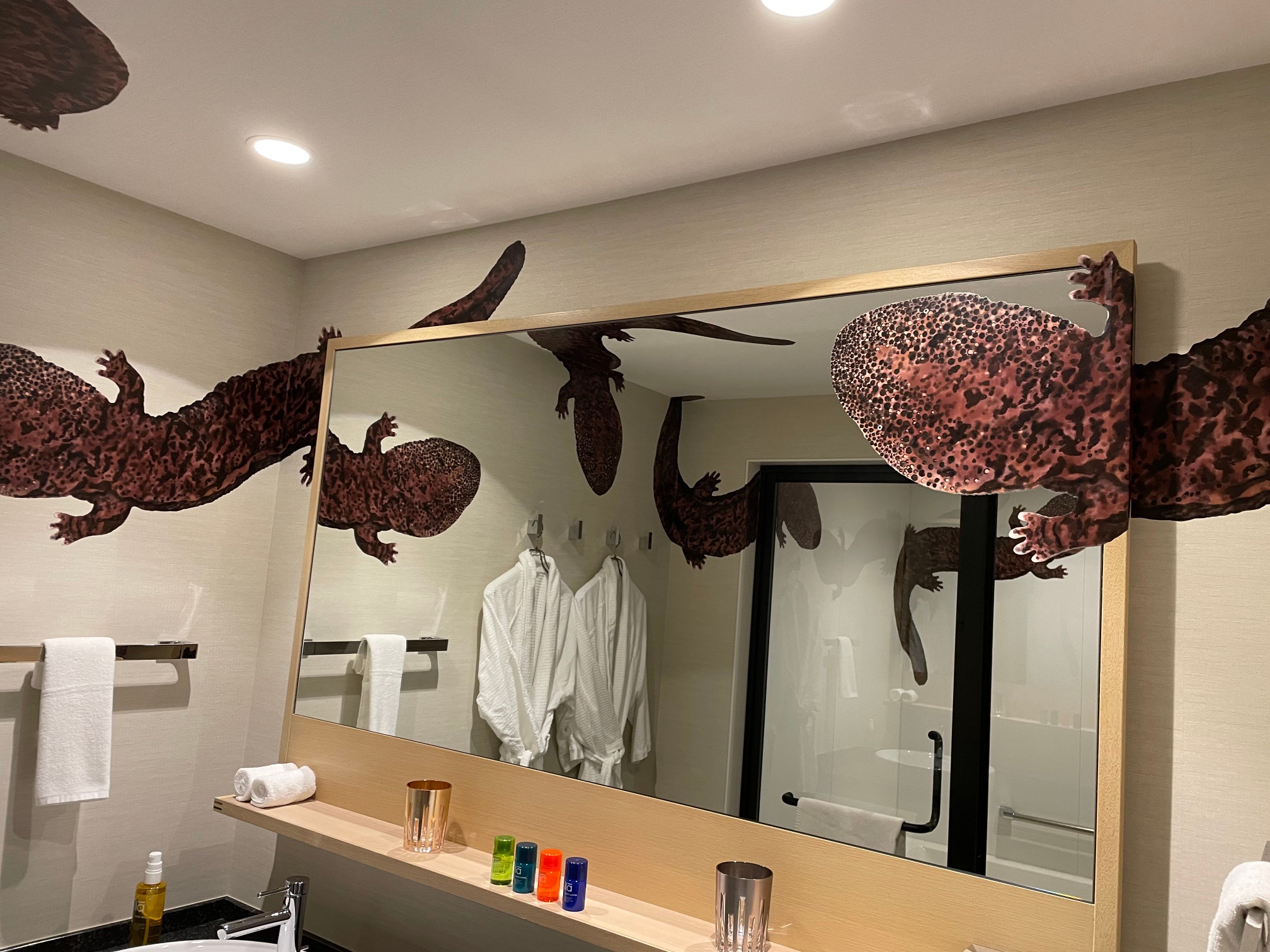 ห้องนอนซาลาแมนเดอร์