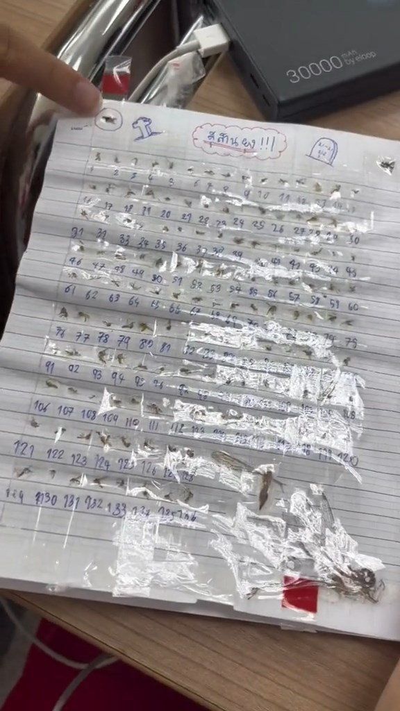 รุ่นพี่เรียนจบ