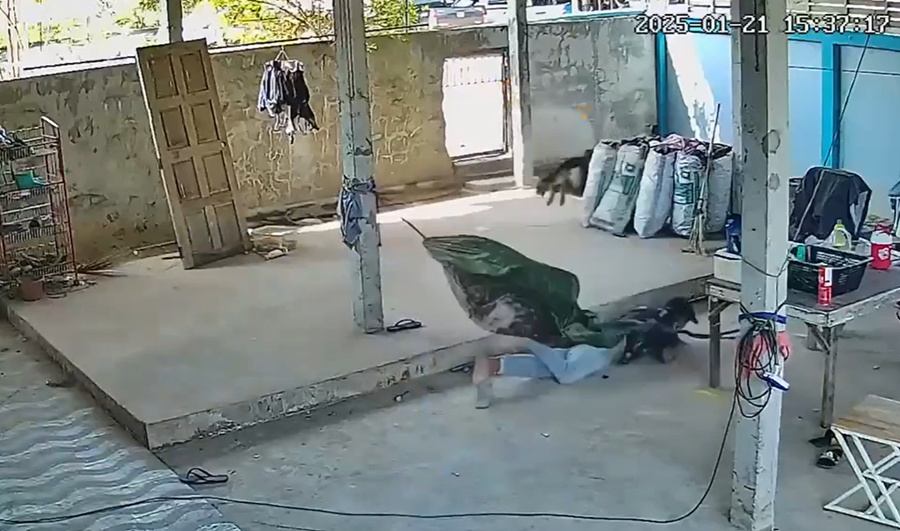 วิ่งไล่จับ