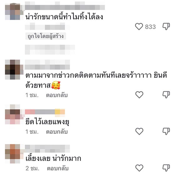 ช่วยแมวถูกทิ้ง
