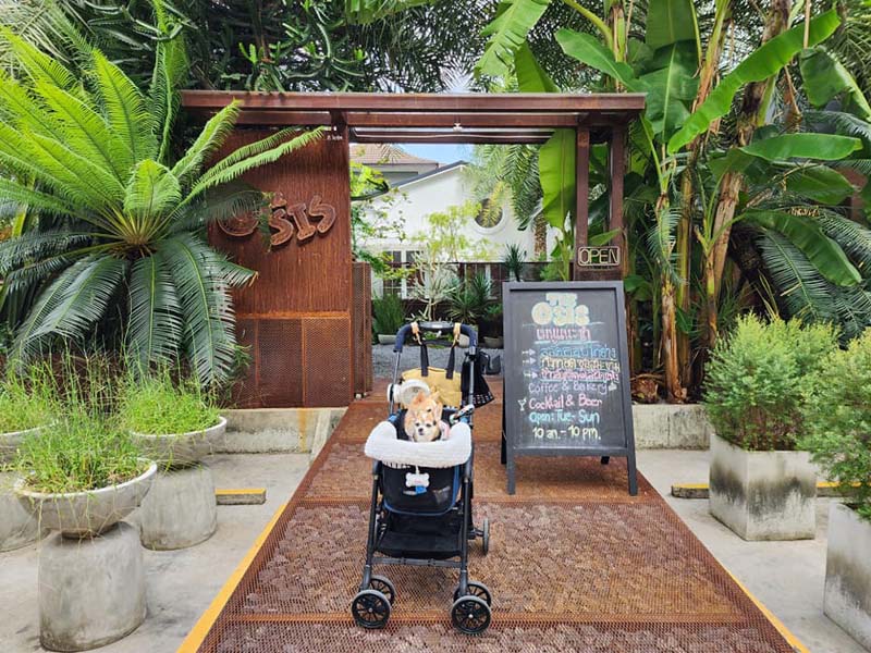 The O'sis Cafe & bar