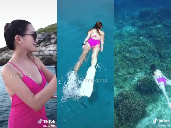 วิกกี้แฟนเวียร์