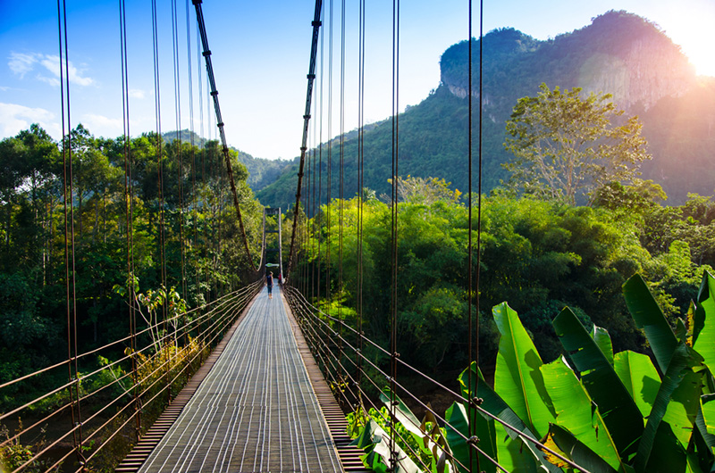 สะพานแขวนเขาพัง สุราษฎร์ธานี