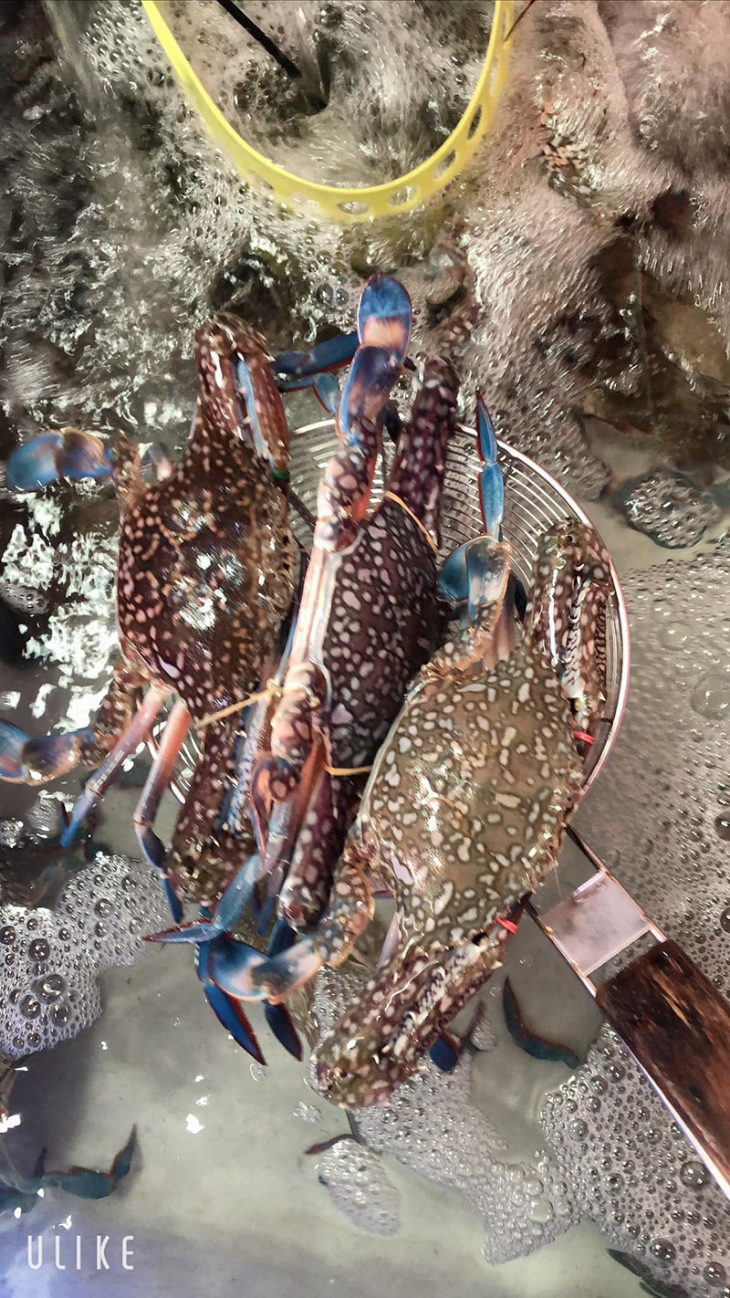 ร้านอาหารทะเลสด