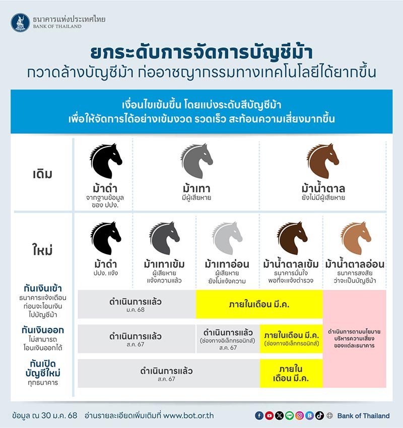 บัญชีม้า หมายถึงอะไร มีกี่สี