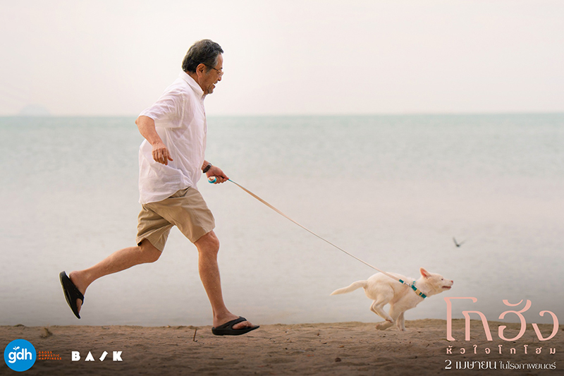 หนัง โกฮัง หัวใจโกโฮม หนังเกี่ยวกับสุนัข หนังใหม่ GDH 2569
