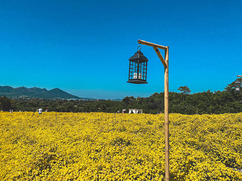 ที่เที่ยวปีใหม่ 2565