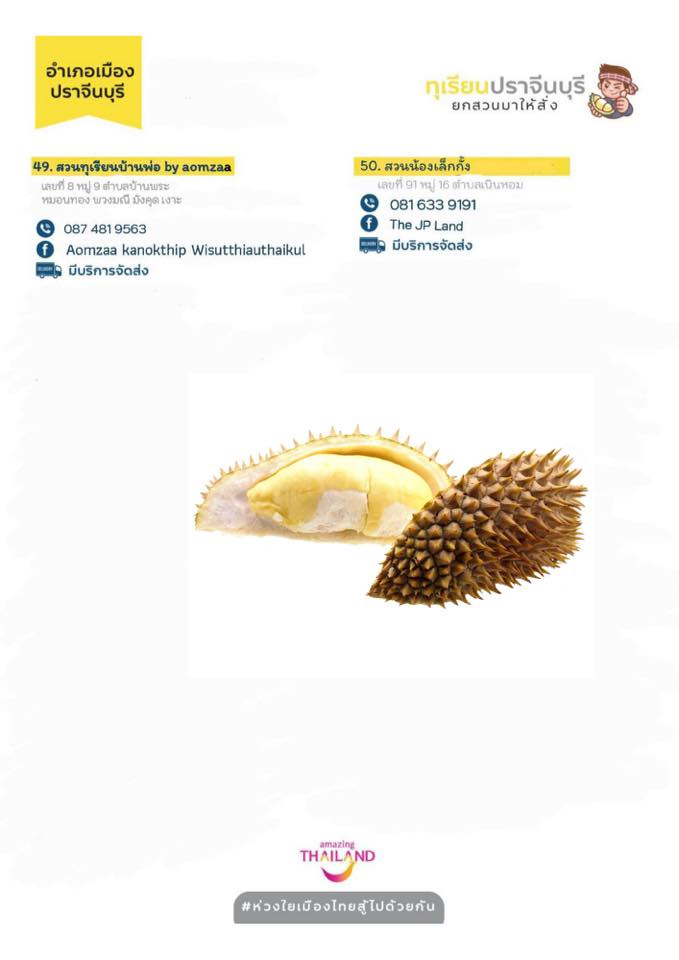 สวนทุเรียนปราจีนบุรี