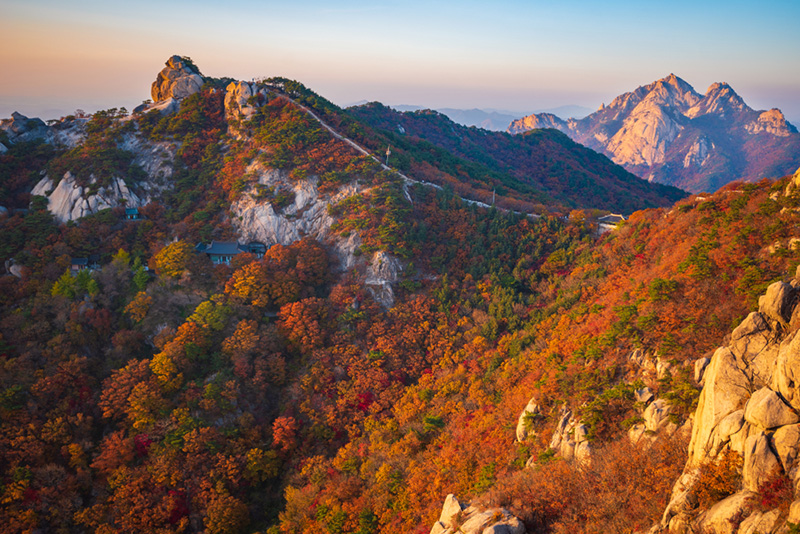 ใบไม้เปลี่ยนสี