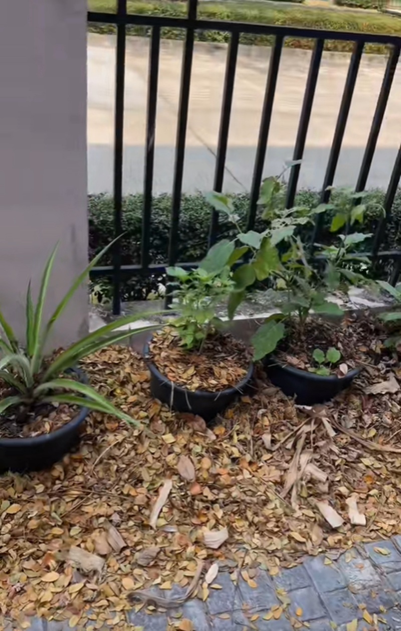 บ้านจ๊ะ นงผณี