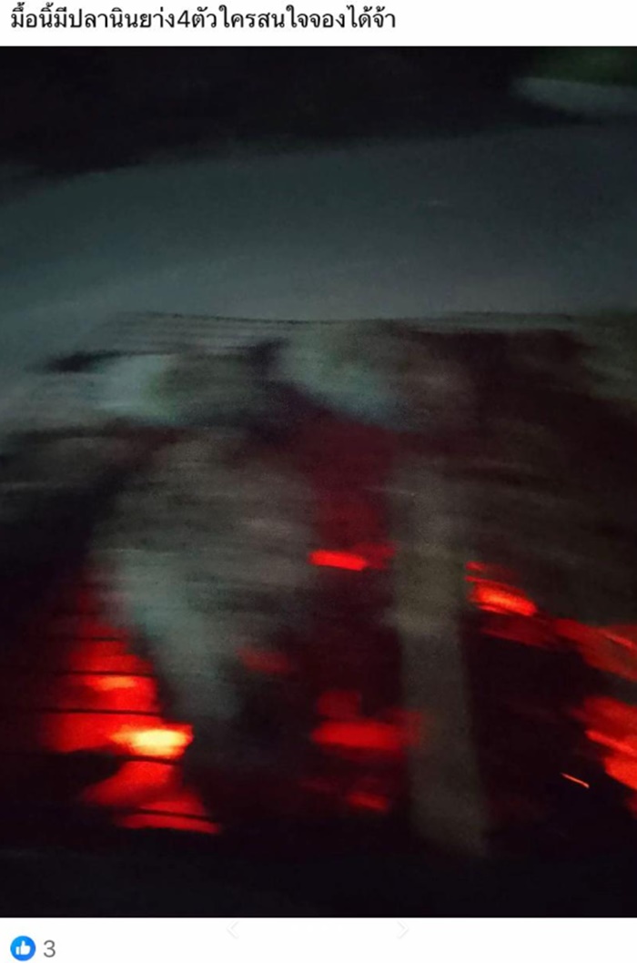 ขายไก่ย่าง