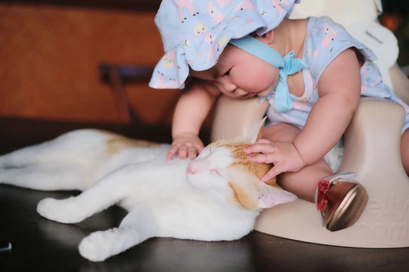 โย่ง อาร์มแชร์