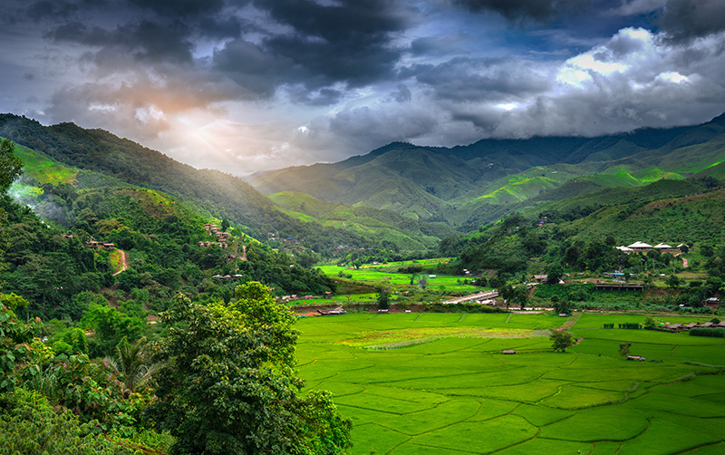 เที่ยวไทยตามรอยลิซ่า ทุ่งนาสะปัน