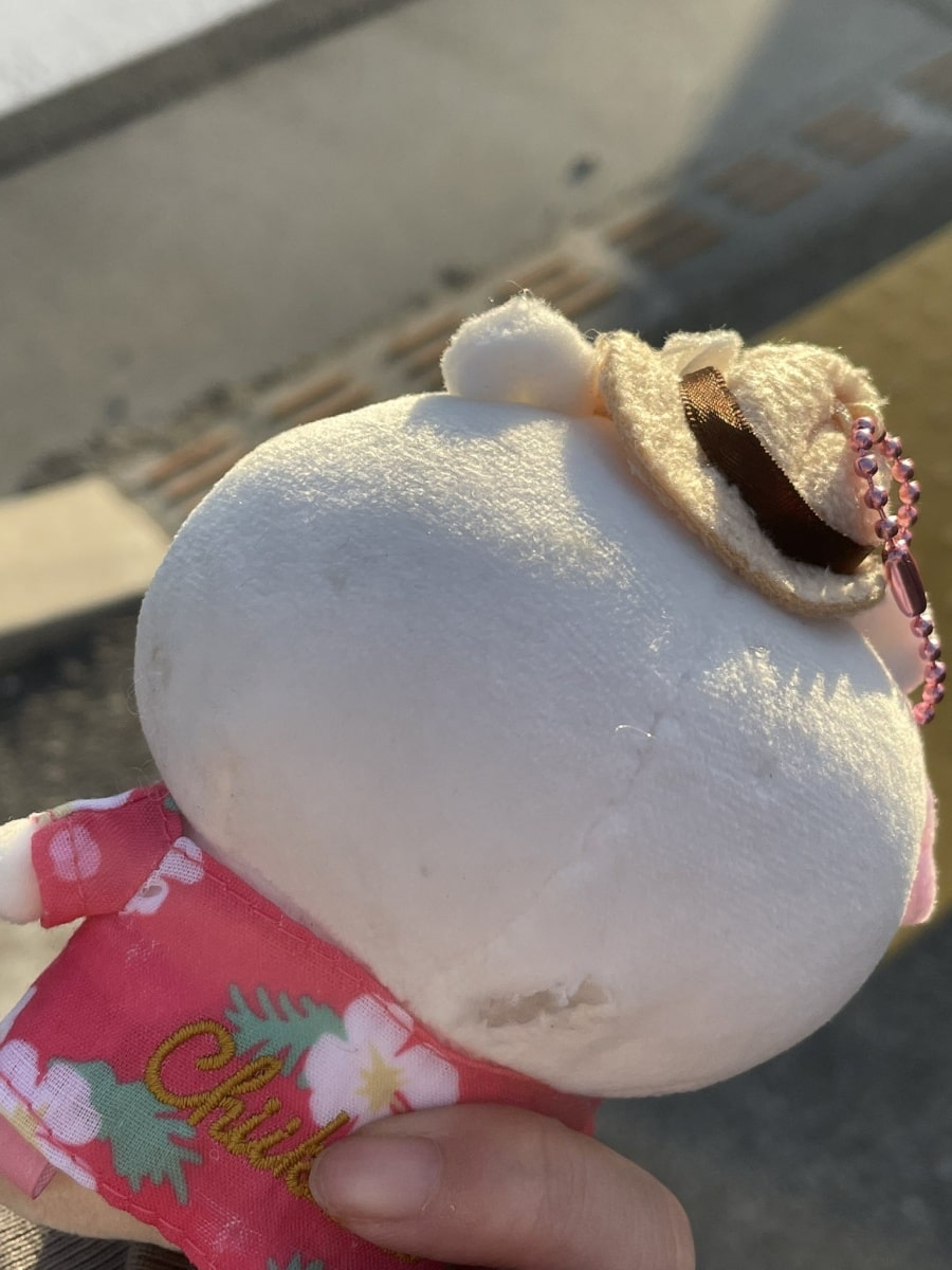 ขโมยตุ๊กตา