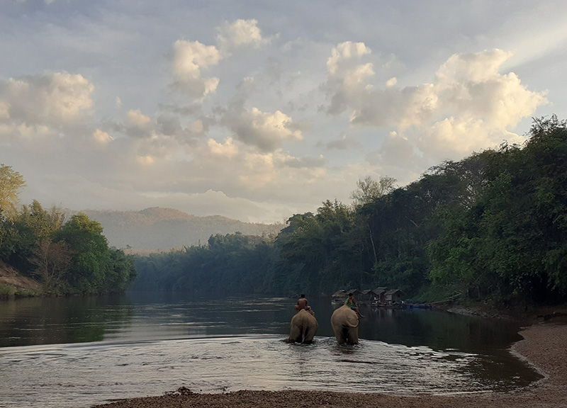 ที่เที่ยว มีช้าง