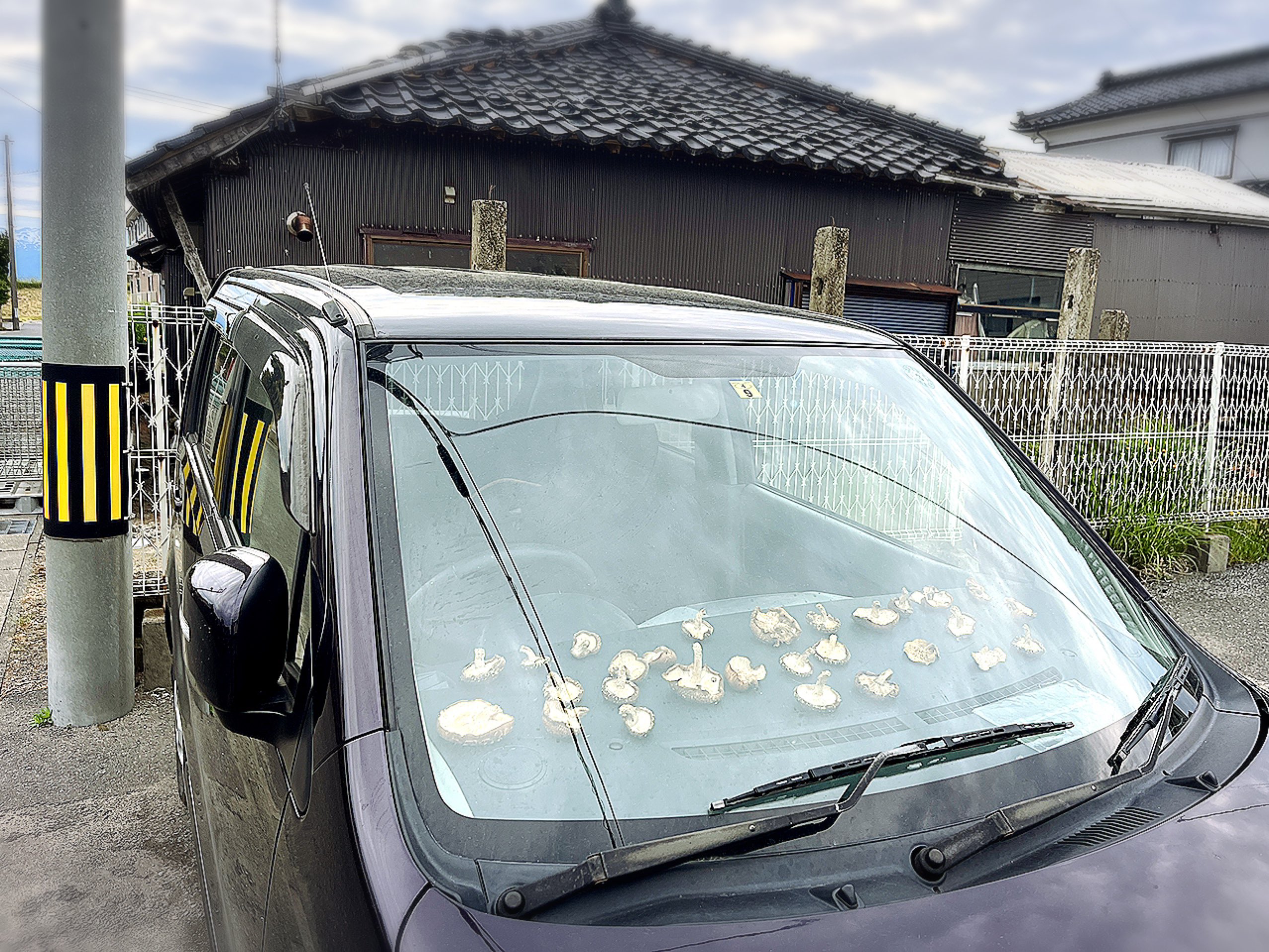 ตากเห็ดหอม