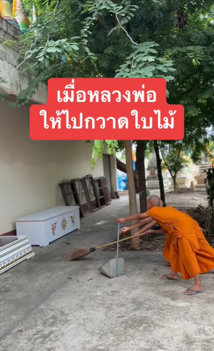 กวาดใบไม้
