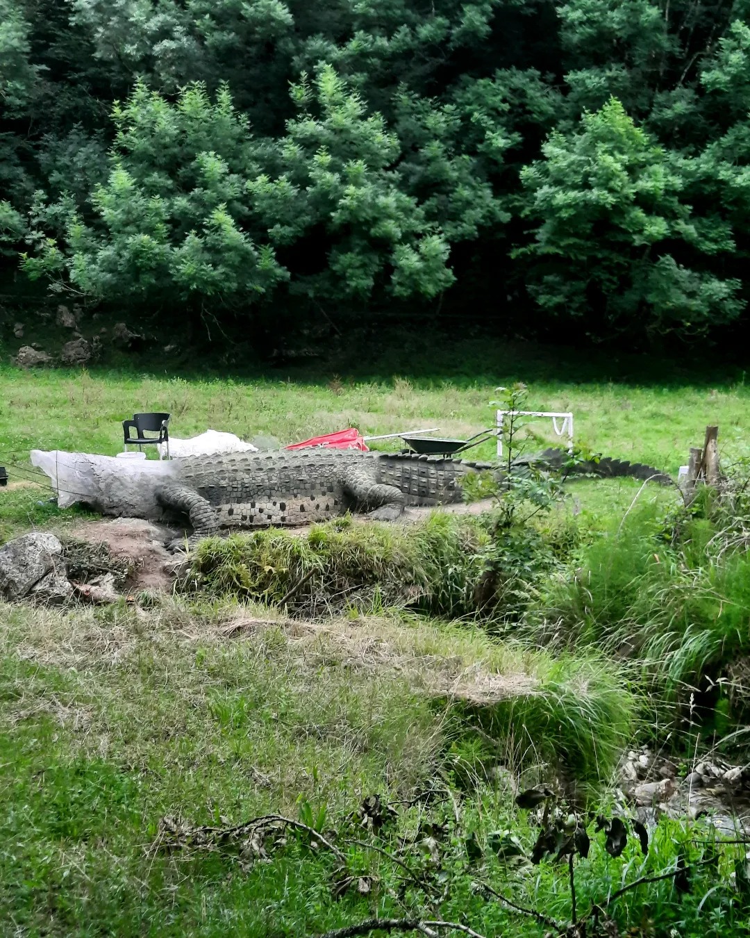 จระเข้ยักษ์