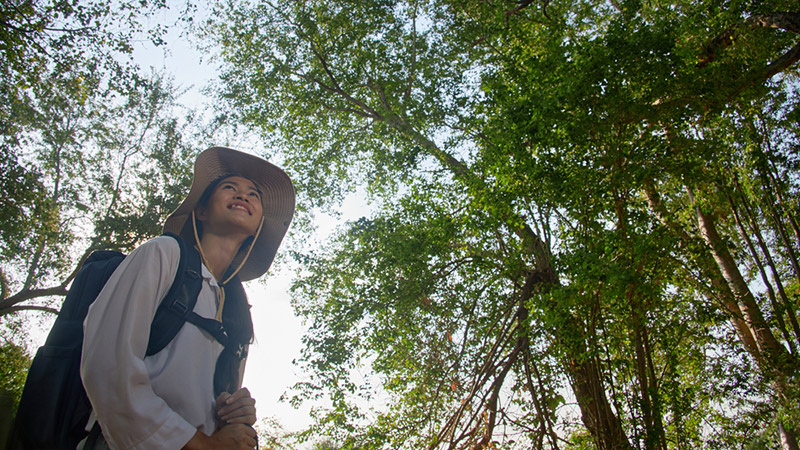 คนสายกรีน