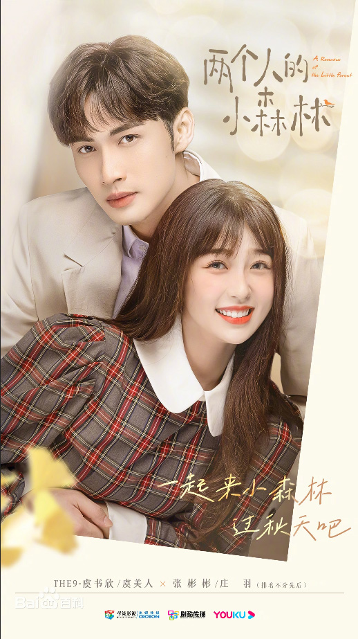 ซีรีส์จีน