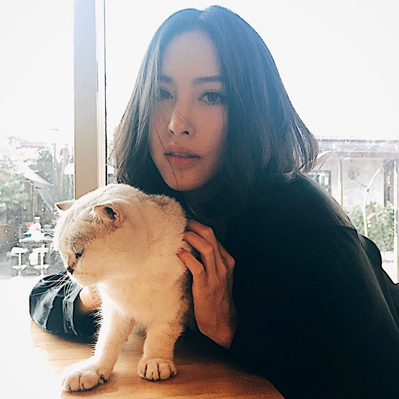 ดาราหญิงชอบเลี้ยงแมว