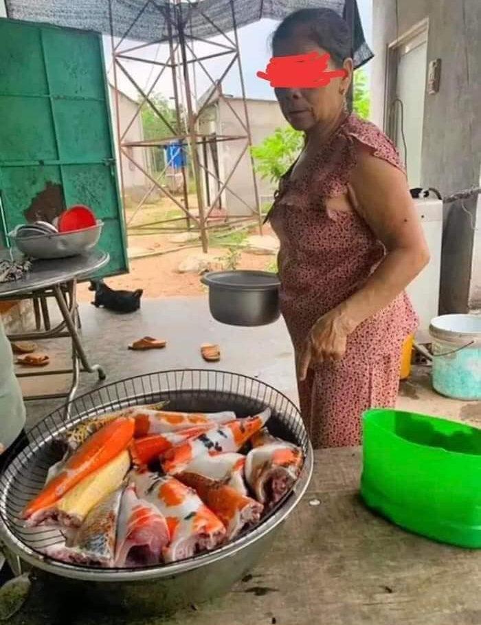 ปลาคาร์พ