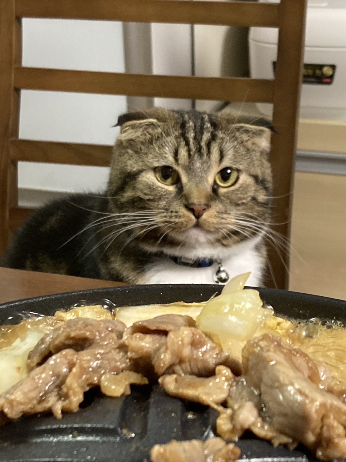 นั่งกินข้าว