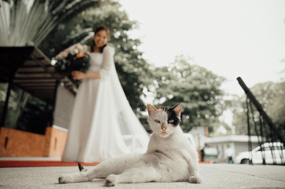 ถ่ายรูปเจ้าสาว