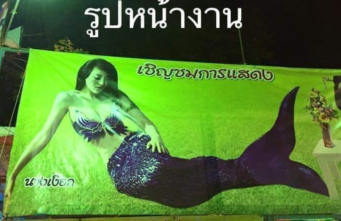 นางเงือก