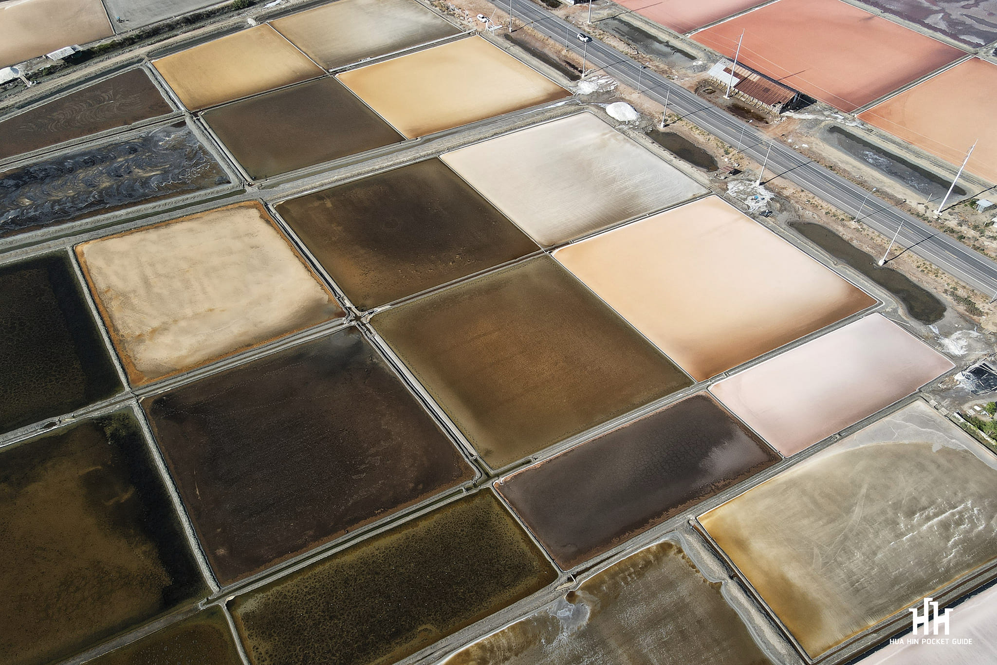 นาเกลือ