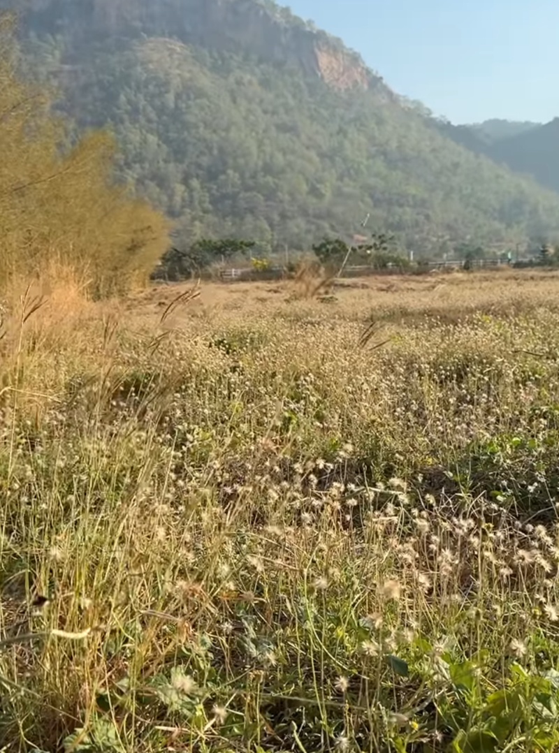 บ้านสวน โบว์ เมลดา