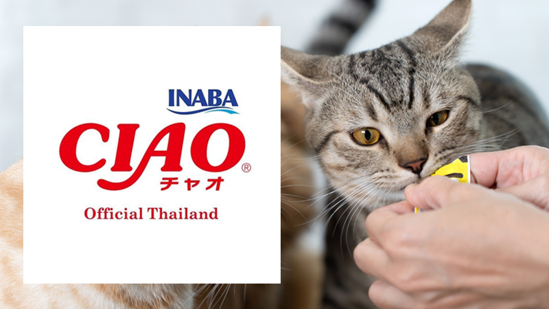 ขนมแมวเลีย Ciao Churu