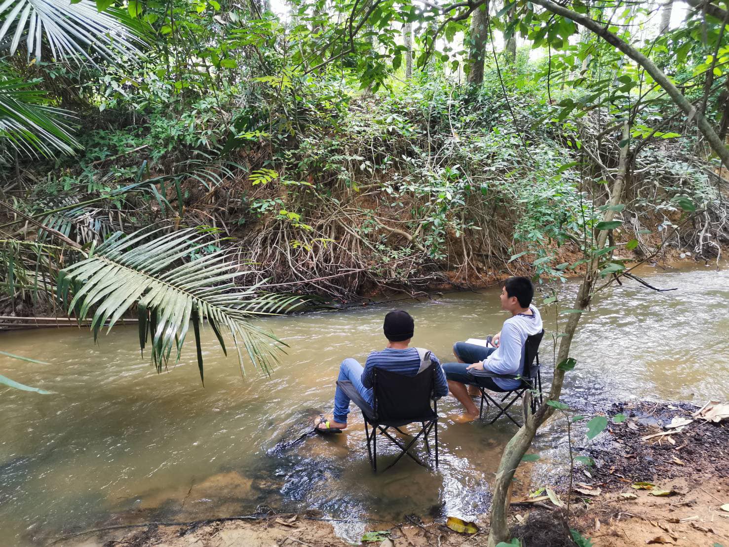 คาเฟ่ในสวนยาง