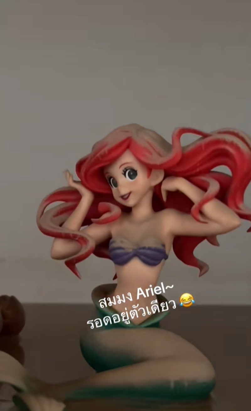 ของสะสม